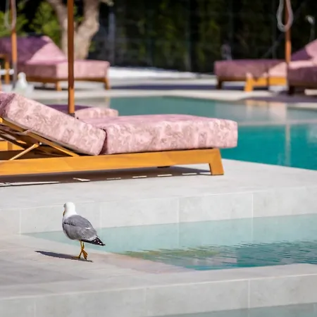 J'adore Secret Garden A&k Deluxe * サニービーチ